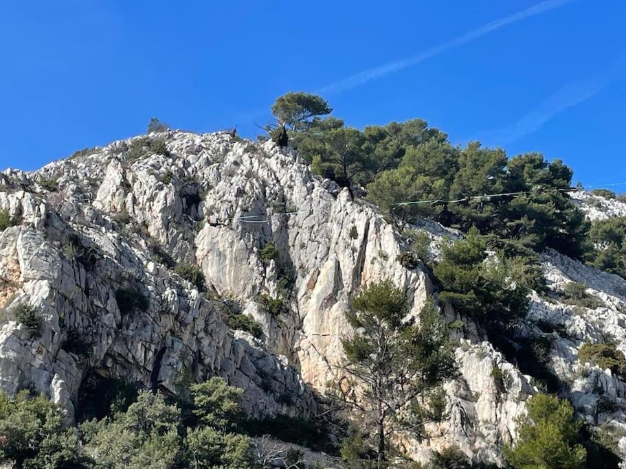 Au Calme Des Pins Avec Vue Toulon