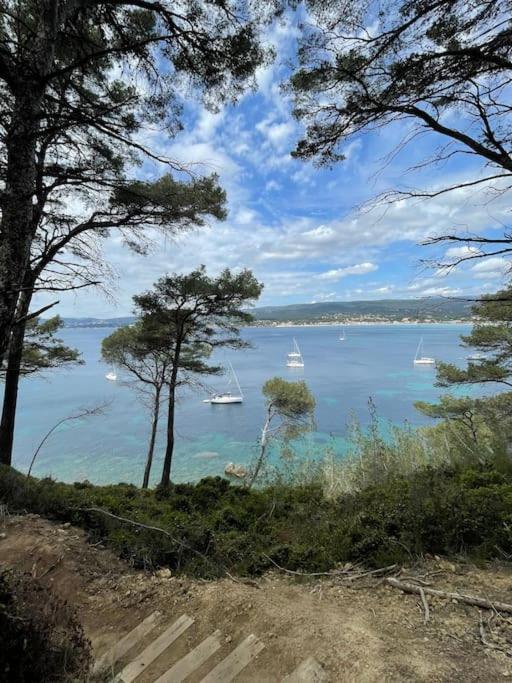 Au Calme Des Pins Avec Vue * Toulon