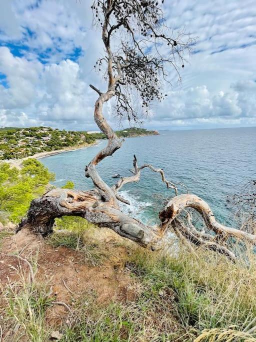Au Calme Des Pins Avec Vue Holiday home Toulon
